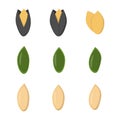 Set of nuts in flat style.